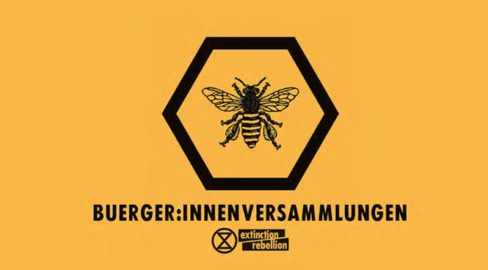 Mer demokrati i klimatkrisen – genom lottade medborgarråd!