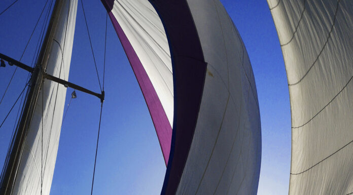 Medborgarråd i Leipzig Direktdemokratiska partier i världen, Lennart Hedberg, Dagens Demokrati