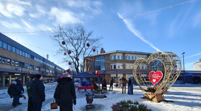 Vallentuna har fått ett direktdemokratiskt parti – igen Vallentunabor samlades för att namnge sitt parti.